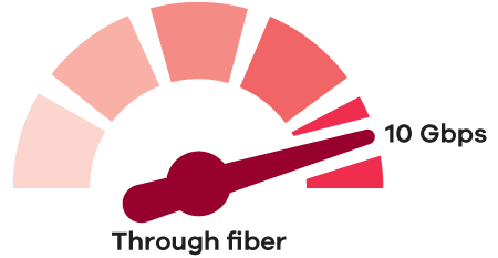  Fiber