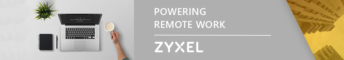 Zyxel Remote Work